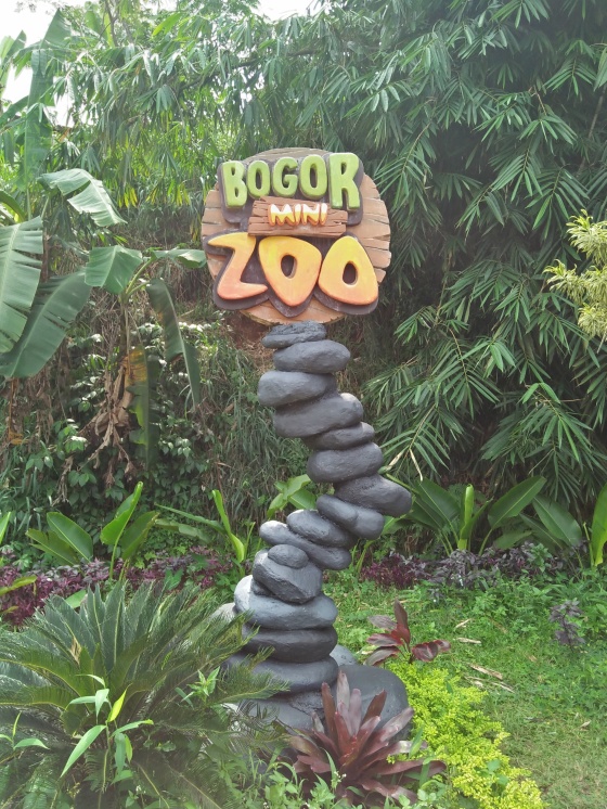 Download Wisata Bermain Bogor Mini Zoo